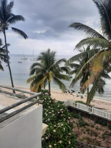- une vue sur la plage bordée de palmiers et l'océan dans l'établissement Le Petit Paradis, à Trou dʼ Eau Douce