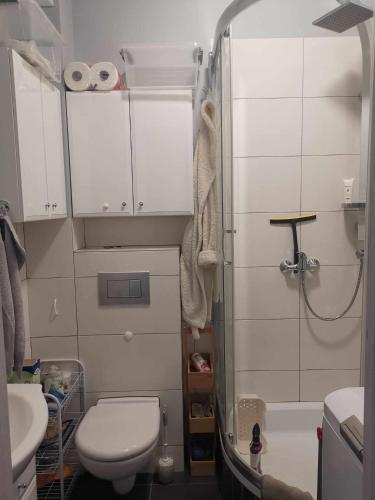 a small bathroom with a toilet and a shower at Apartament Słoneczny Olecko Centrum in Olecko