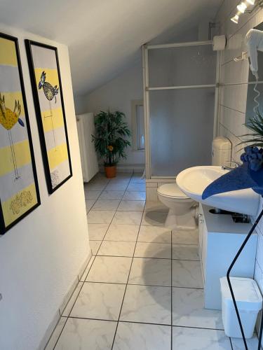 a bathroom with a toilet and a sink at Hotel Garni-Tell in Siegen