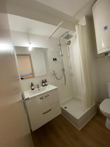 une salle de bain avec un lavabo, une douche et des toilettes dans l'établissement Studio cabine climatisé de 20m2 avec place de parking privée, à Sète