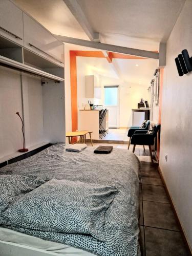 une chambre avec un grand lit et un salon dans l'établissement Petit studio avec terrasse, à Toulouse