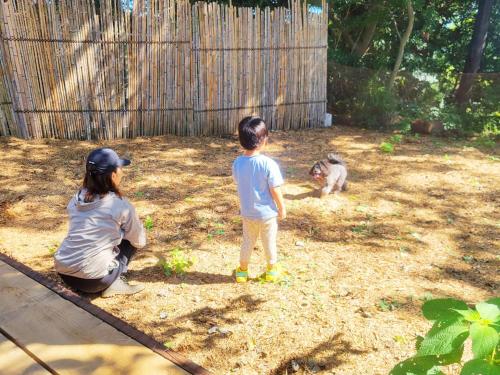 two children are looking at a monkey in a yard at COUSCOUS Glamping Manazuru in Manazuru