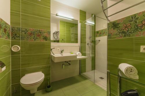 シュラートミンクにあるAppartements Tamino by Schladming-Appartementsのバスルーム(トイレ、洗面台、シャワー付)
