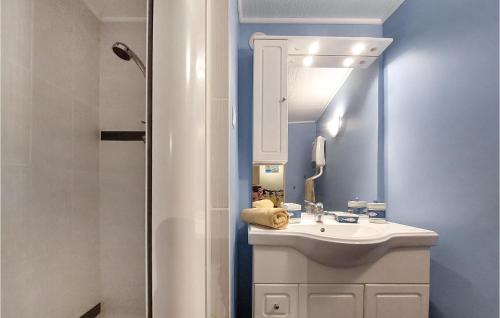bagno con lavandino e specchio di Gorgeous Home In Bas-en-basset With Kitchen a Bas-en-Basset