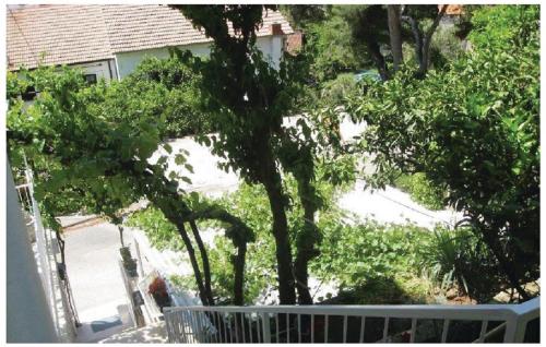 a tree in front of a house with a fence at Villa Volga in Jelsa