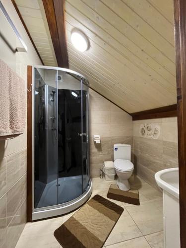a bathroom with a glass shower and a toilet at Котеджі Мелодія Карпат in Slavske