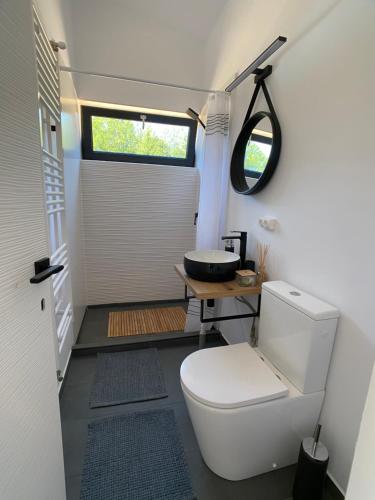 a bathroom with a toilet and a sink at Nest in Gărâna - Cardinal House in Garana
