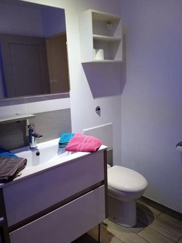 une salle de bain avec un lavabo blanc et des toilettes dans l'établissement L'Écurie de Lili entre Bourges et Sancerre, à Azy