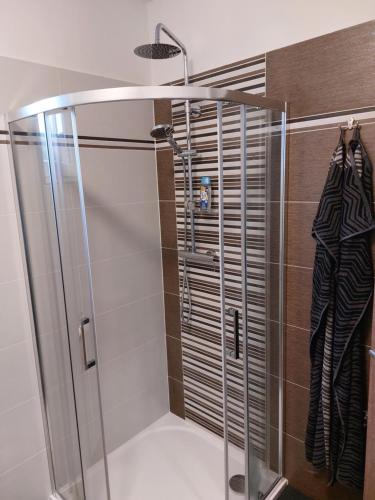 a shower with a glass door in a bathroom at Apartmán Pod Bukem in Červená Voda
