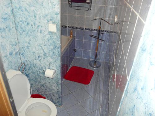 a small bathroom with a toilet and a shower at Apartment Fialka in Olomouc
