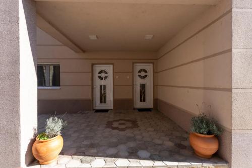 a hallway with two doors and two potted plants at 1-Bedroom Apartment with Balcony in Ledine