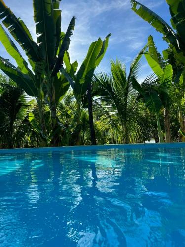 a blue swimming pool with palm trees in the background at The Lazy Farm-Garden Central Room in Mewal