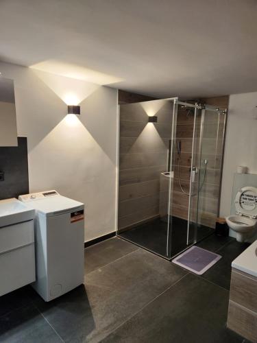 a bathroom with a shower and a toilet at Neumühler Hof Ferienwohnung "Stefan" bietet 4 Schlafzimmer und 4 Bäder , eine Große Badewanne und großer Terrasse zum Garten, kostenfreie Parkmöglichkeiten in Schwerin