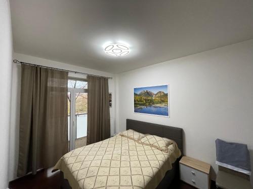 - une chambre avec un lit et une fenêtre dans l'établissement SPA Apartment Moser, à Karlovy Vary