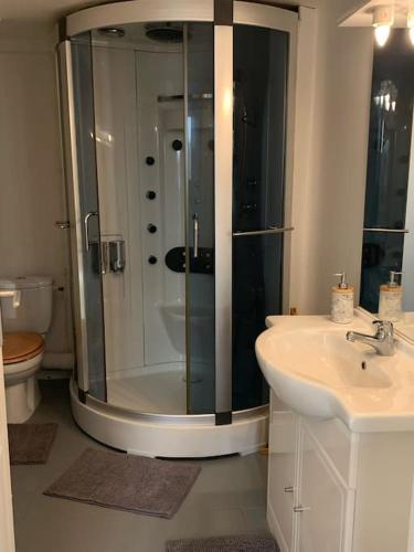une salle de bain avec une douche, un lavabo et des toilettes dans l'établissement Bel appartement confortable avec jardin sur Cussac, à Cussac-Fort-Medoc