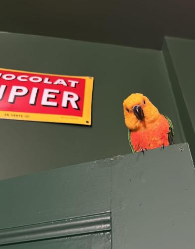 a stuffed bird is sitting on top of a sign at Moulin de Joumard, gîtes, chambres et table d'hôtes de charme , jacuzzi, sauna, piscine et bain nordique Etablissement 4 étoiles in Aubazat