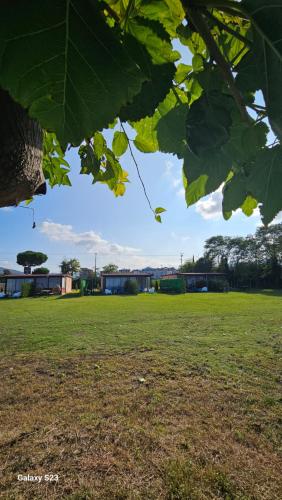 Photo de la galerie de l'établissement Eva tatil evleri, à Perşembe