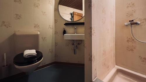 a bathroom with a toilet and a sink and a mirror at Alpina Einhorn - Self-Check-In in Wolfenschiessen