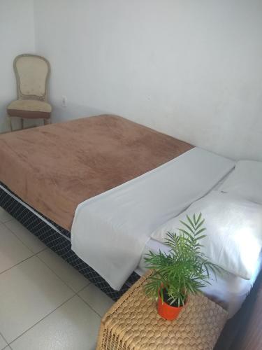 a bed with white sheets and a plant in a room at Habitación con baño y cocina compartido-Porto da Barra in Búzios