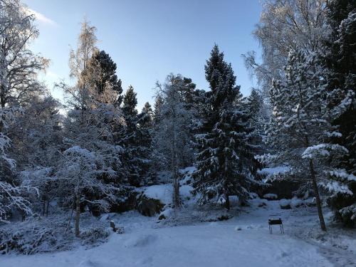 A cosy cottage in Norrtälje durante el invierno