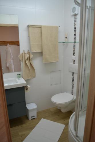 een badkamer met een toilet en een wastafel bij fewo-sporer in Sankt Englmar