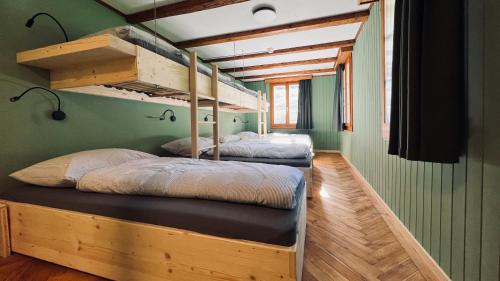 two bunk beds in a room with green walls at Alpina Einhorn - Self-Check-In in Wolfenschiessen