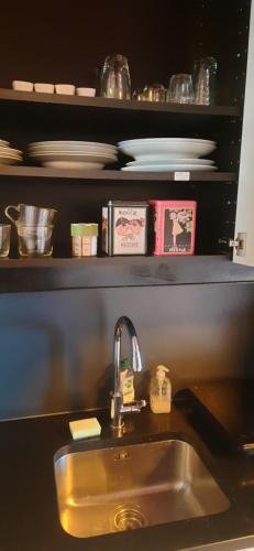 a kitchen counter with a sink and plates on a shelf at B & B De Groene Slaper in Silvolde