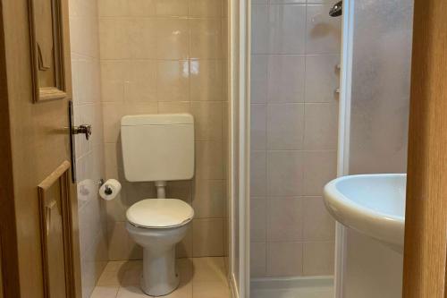 a small bathroom with a toilet and a sink at Appartamenti Ladina in Campitello di Fassa