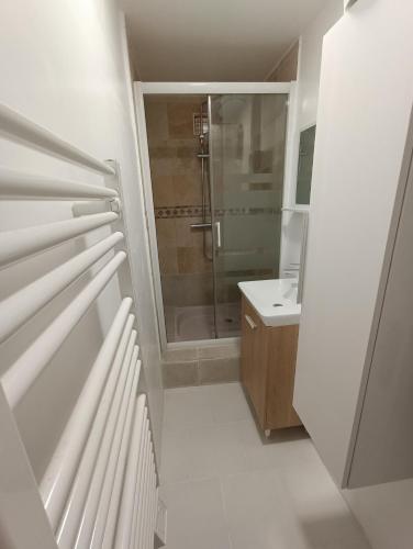 une salle de bain avec douche et lavabo dans l'établissement T3 rénové avec cour, Intra Muros Avignon, à Avignon