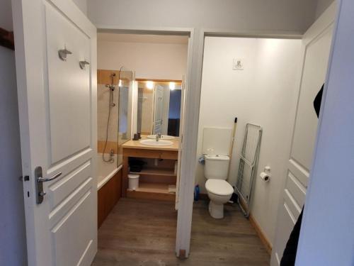 a small bathroom with a toilet and a sink at Appartement Le Dévoluy, 2 pièces, 4 personnes - FR-1-504-672 in Le Dévoluy