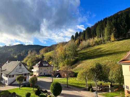ein kleines Dorf mit Häusern und einem Hügel in der Unterkunft Ferienwohnung Schwarzwaldliebe in Bad Peterstal-Griesbach