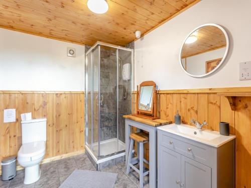a bathroom with a shower and a sink and a toilet at Bear House- Uk45704 in Brinkley