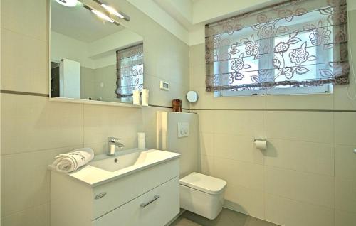 波雷奇的住宿－Tatty，一间带水槽、卫生间和镜子的浴室
