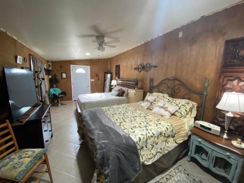 a bedroom with two beds and a television in it at Hilda's Garage~Bandera, TX. in Bandera