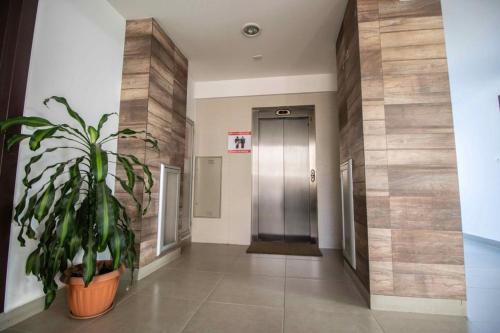 a hallway with a potted plant and a elevator at Hermoso Departamento En La Mejor Zona De Cochabamba in Cochabamba