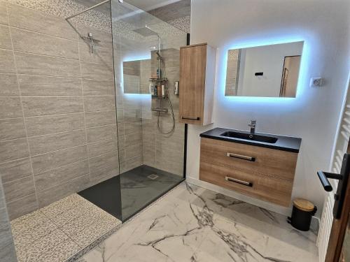 une salle de bain avec un lavabo et une douche avec un miroir dans l'établissement Gîte de l'Adour, Rénové & Chic, Parking, à Gerde