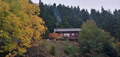 Gallery image of Rados chalet in Rádhos