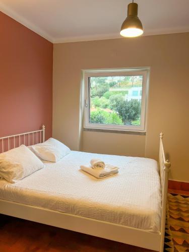 Santa Rita Valley House – Photos 3
