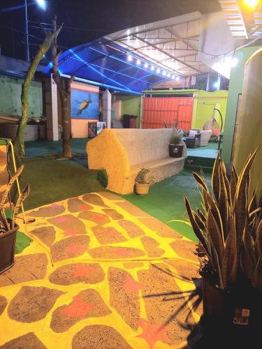 Kolam renang di atau dekat dengan Galápagos Eco Friendly