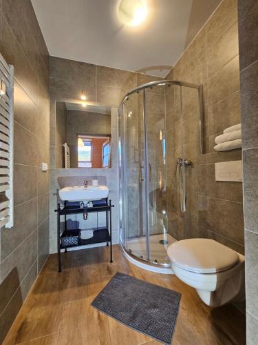 a bathroom with a shower and a toilet and a sink at Panorama Szymaszkowa in Zakopane