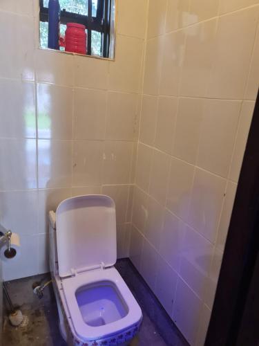 a bathroom with a purple toilet with a window at Christa's Haven in Siaya