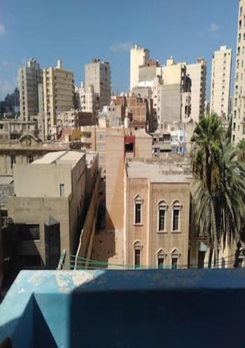 vista su una città con edifici e palme di Alexandria,Egypt ad Alessandria d'Egitto