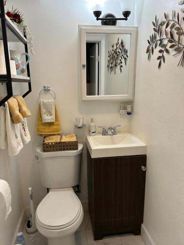 a bathroom with a toilet and a sink and a mirror at Palm Beach Mermaid in West Palm Beach