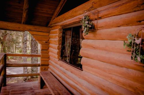 a log cabin with a window and a bench at Refúgio do Caracol Pipas e Chalés in Canela