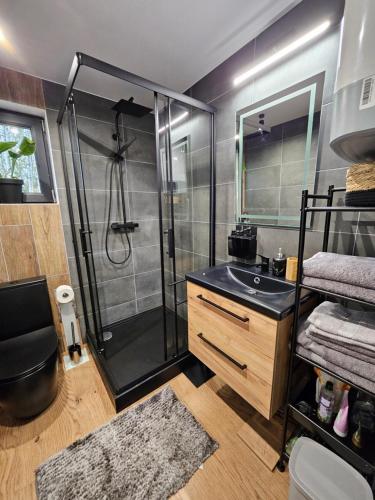 W łazience znajduje się prysznic i umywalka. w obiekcie Jurajskie Stodoły w mieście Częstochowa