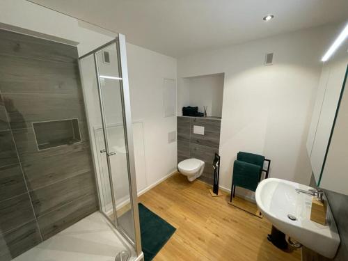 a bathroom with a shower and a toilet and a sink at Business & Relax Wohnung direkt im Stadtkern Oettingens in Oettingen in Bayern