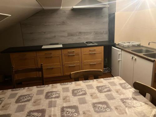 Kuchyň nebo kuchyňský kout v ubytování Hotel Direndall