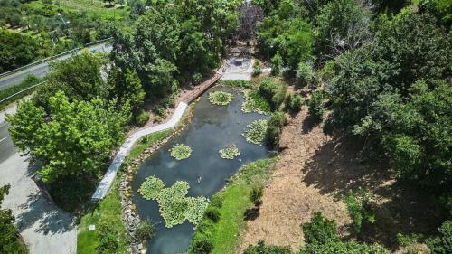 an aerial view of a pond with plants in it at Belvedere in Castel Viscardo