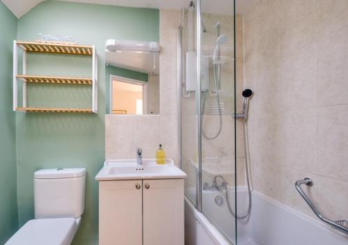 a bathroom with a shower and a toilet and a sink at Chapel Cottage in Hempstead