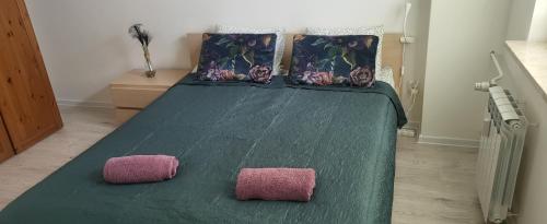 a green bed with two pink pillows on it at Apartament Busko-Zdrój - Zosia in Busko-Zdrój